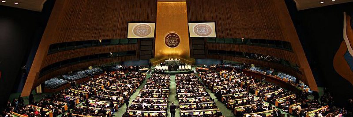 United Nations General Assembly