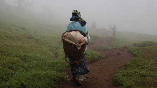 Una mujer desplazada internamente en Masisi, Kivu Norte, RDC.