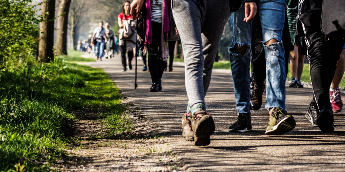 Participant's of the annual hike walk down a path together (Frans' Hike)