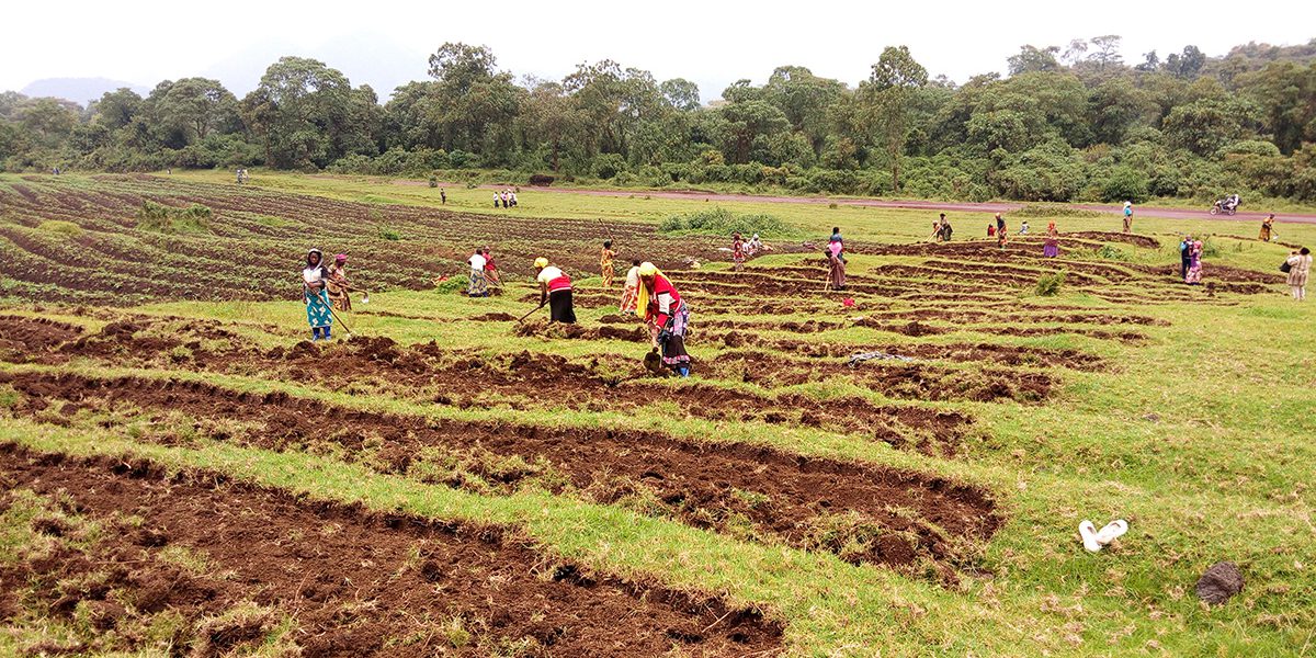 Training in agriculture fro displaced women in DRC