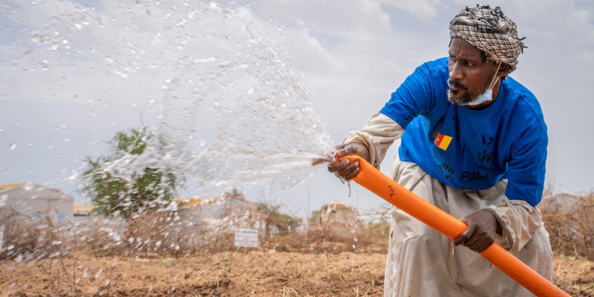 In Cameroon, a new project for internally displaced people promotes planting of trees and vegetables to increase livelihood opportunities.