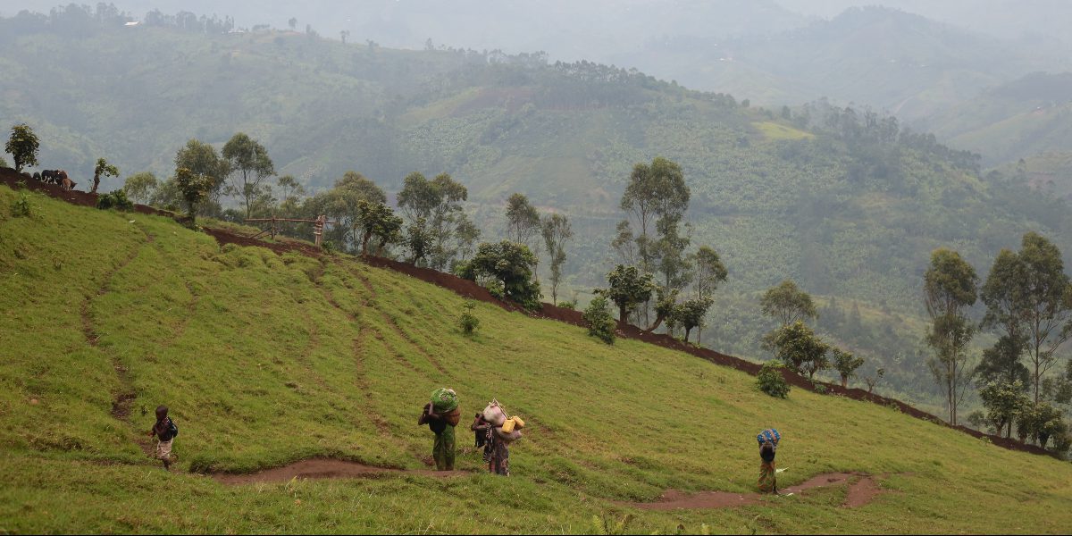 Le JRS attend avec impatience la visite papale du Pape François en République Démocratique du Congo et au Sud Soudan. (Sergi Camara)